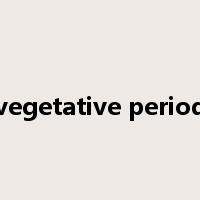 vegetative period是什么意思