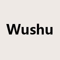 Wushu是什么意思