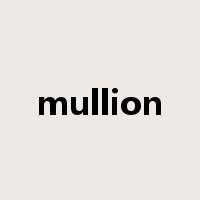 mullion是什么意思