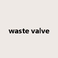 waste valve是什么意思
