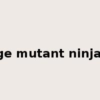teenage mutant ninja turtle是什么意思