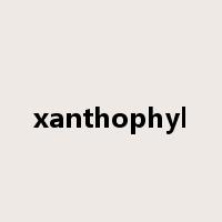 xanthophyl是什么意思