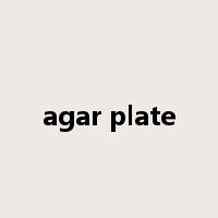 agar plate是什么意思