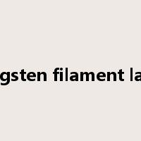 tungsten filament lamp是什么意思