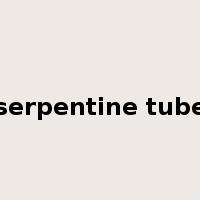 serpentine tube是什么意思