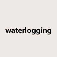 waterlogging是什么意思