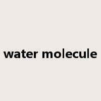 water molecule是什么意思