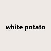 white potato是什么意思