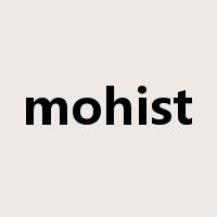 mohist是什么意思