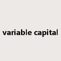 variable capital是什么意思