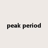 peak period是什么意思