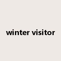 winter visitor是什么意思