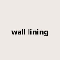 wall lining是什么意思