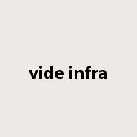 vide infra是什么意思