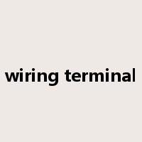 wiring terminal是什么意思