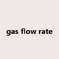 gas flow rate是什么意思