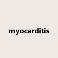 myocarditis是什么意思