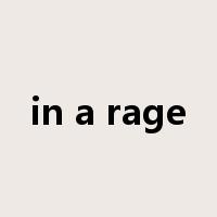 in a rage是什么意思
