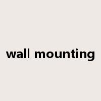 wall mounting是什么意思