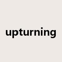 upturning是什么意思