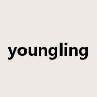 youngling是什么意思