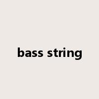 bass string是什么意思