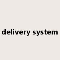 delivery system是什么意思