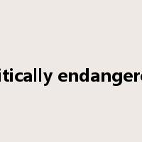 critically endangered是什么意思