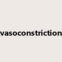 vasoconstriction是什么意思