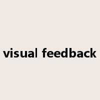 visual feedback是什么意思