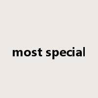 most special是什么意思