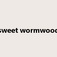 sweet wormwood是什么意思