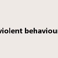 violent behaviour是什么意思