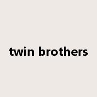 twin brothers是什么意思