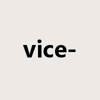 vice-是什么意思