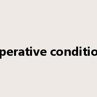 operative condition是什么意思