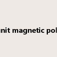 unit magnetic pole是什么意思