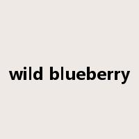 wild blueberry是什么意思