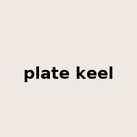 plate keel是什么意思