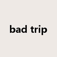 bad trip是什么意思