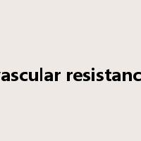 vascular resistance是什么意思