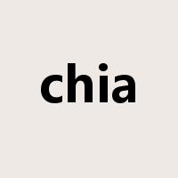 chia是什么意思