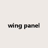 wing panel是什么意思