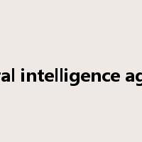 central intelligence agency是什么意思
