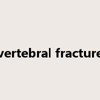 vertebral fracture是什么意思