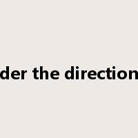 under the direction of是什么意思