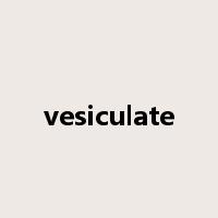 vesiculate是什么意思