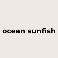 ocean sunfish是什么意思