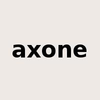 axone是什么意思