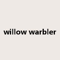 willow warbler是什么意思